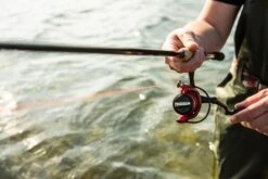 Ultimate Predator Spin & Jig 2,10m 10-30gr -Visgear Verkoop 2960c19f611ea8dd