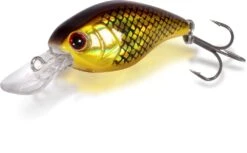 Magic Trout Hustle And Bustle Lake Forel Kunstaas Roach 2,7cm (1,1g)