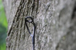 Ashima Travel FFX-S 10ft 3m 3.25Lb -Visgear Verkoop 4a7d69384d52c63c