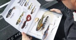 Abu Garcia Beast Gift Pack Kunstaas Set (6 Stuks) -Visgear Verkoop 64e26657db5afdaa