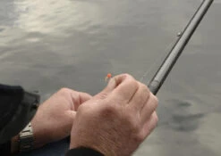 Cresta Spaghetti Balls Blood Red -Visgear Verkoop 7a9eca116683f06b