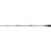 PENN Conflict Trolling 2,13m (20-30lb)