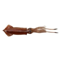 Savage Gear 3D TPE Swim Squid 12,5cm 25gr Brown Eye UV